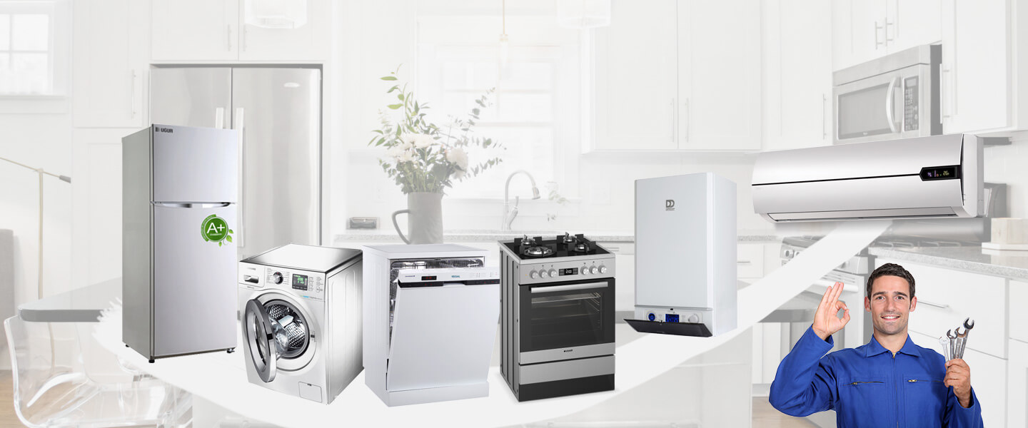 Doğubayazıt Vaillant Servisi
